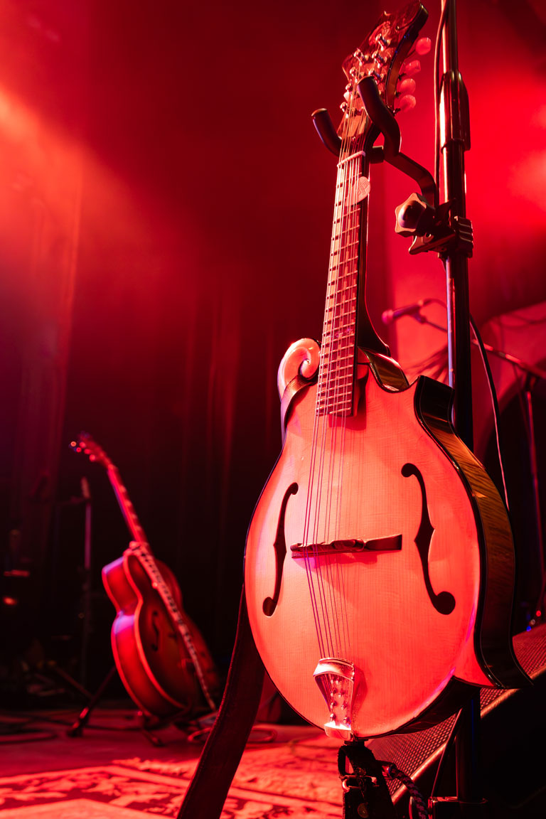 Mandolin & Guitar on stands